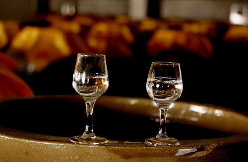 別錯(cuò)過(guò)！3款好喝不貴的平民糧食酒，遇到多買(mǎi)幾箱